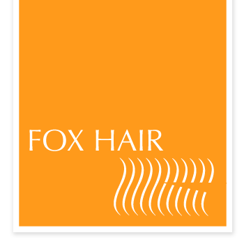 Fox Hair Chicago